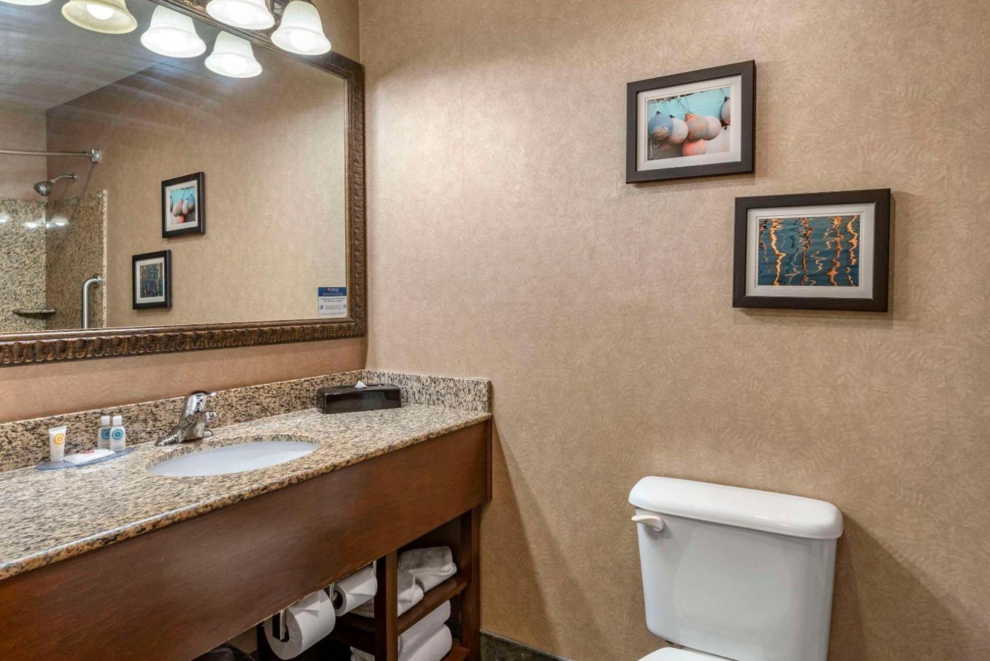 Comfort Inn & Suites Линкън Сити Екстериор снимка